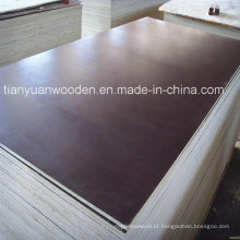 O filme do molde da construção de 1220 * 2440mm China enfrentou a madeira compensada